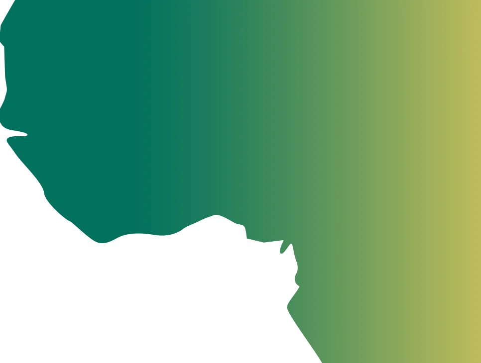 Slider Shape 2